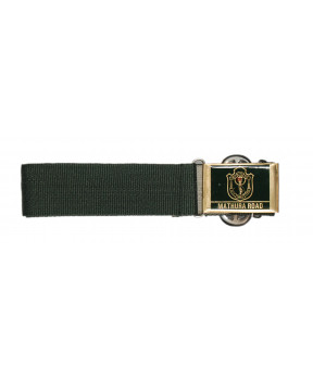 DELHI PUBLIC SCHOOL BELT 